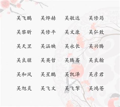 吳姓取名|姓吴男孩名字大全